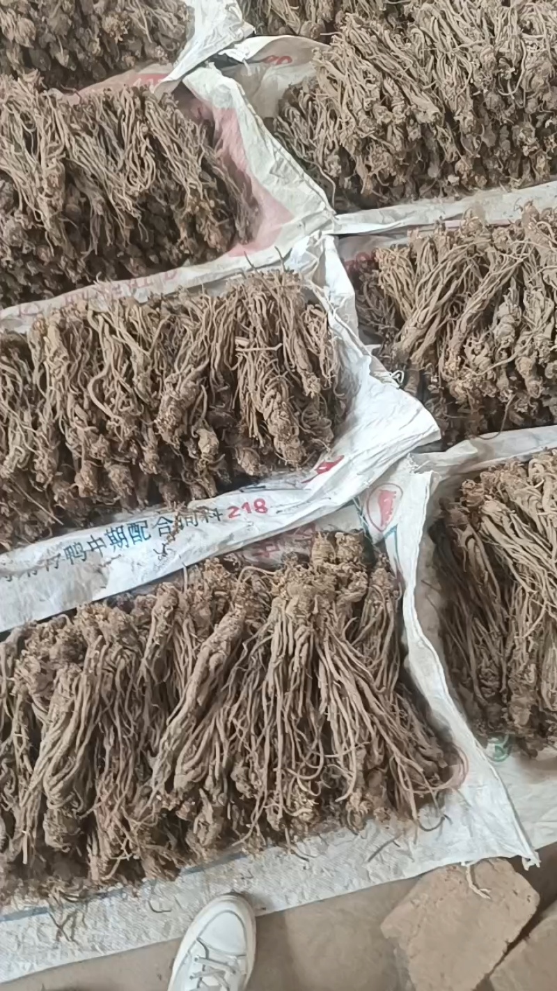 甜当归