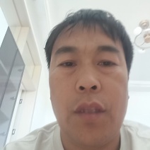 精品油麦菜，各种叶菜对接批发市场电商社区团购