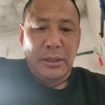 蓝莓现已大量出货，按质量规格论价，代办一切手续