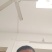 洋葱