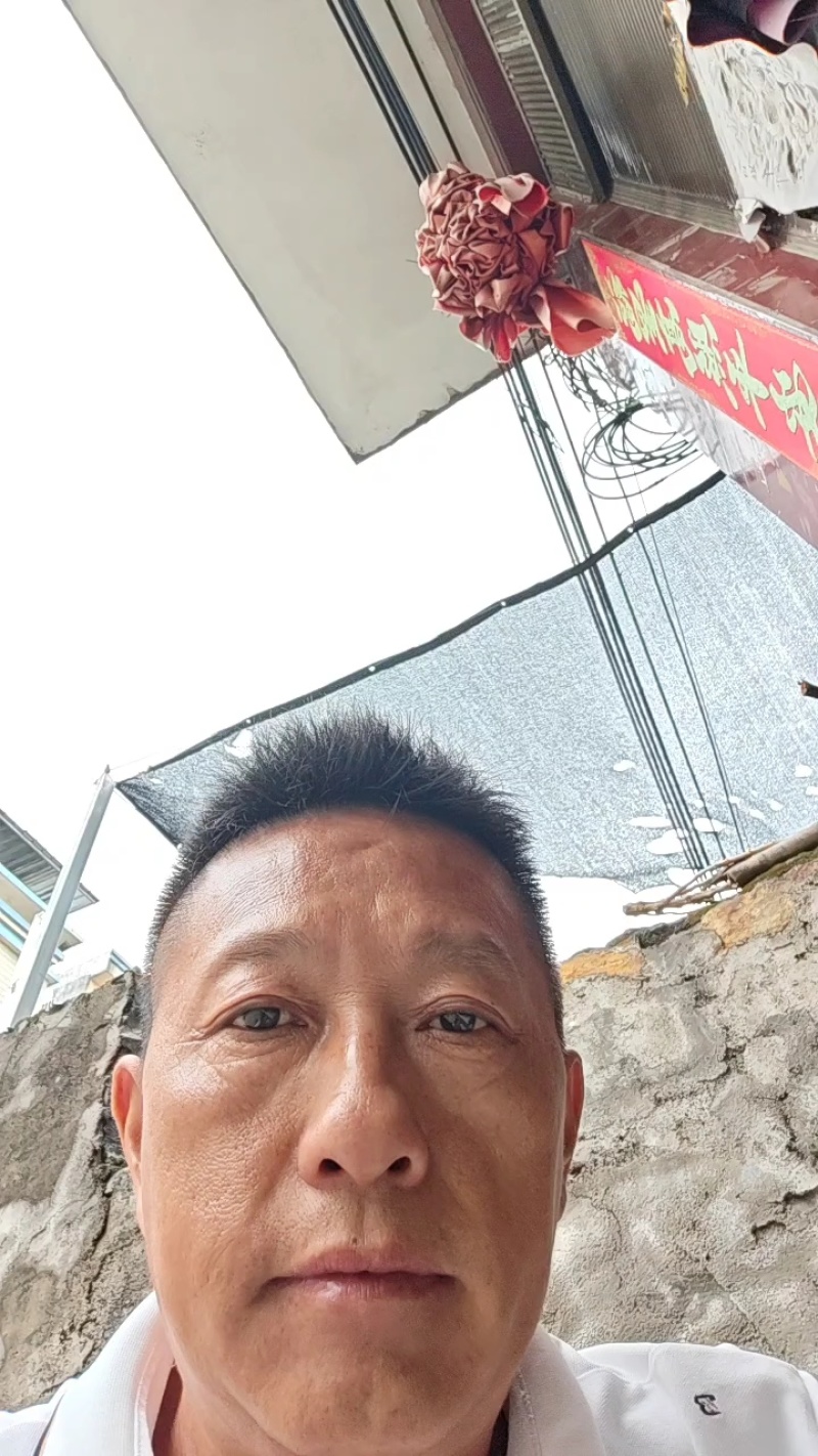 贵州省安龙县德卧镇野菊花