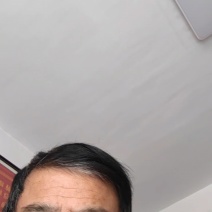 山东脱毒西瓜红苗，大田苗，拔苗均有，欢迎新老客户选购