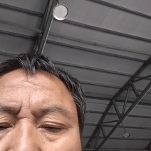 碧螺春茶叶味浓礼盒装来自大自然的绿茶镇安特产象元