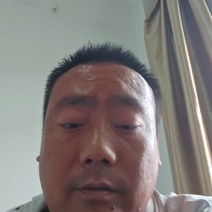 云南盈江本地甜王，大批量上市中，供应全国各大市场商超及个