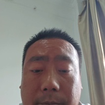 云南盈江本地甜王，大批量上市中，供应全国各大市场商超及个