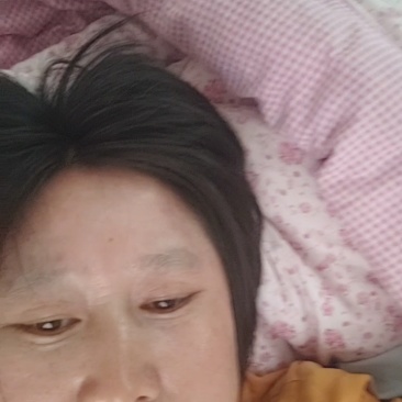蚕沙，桑葚