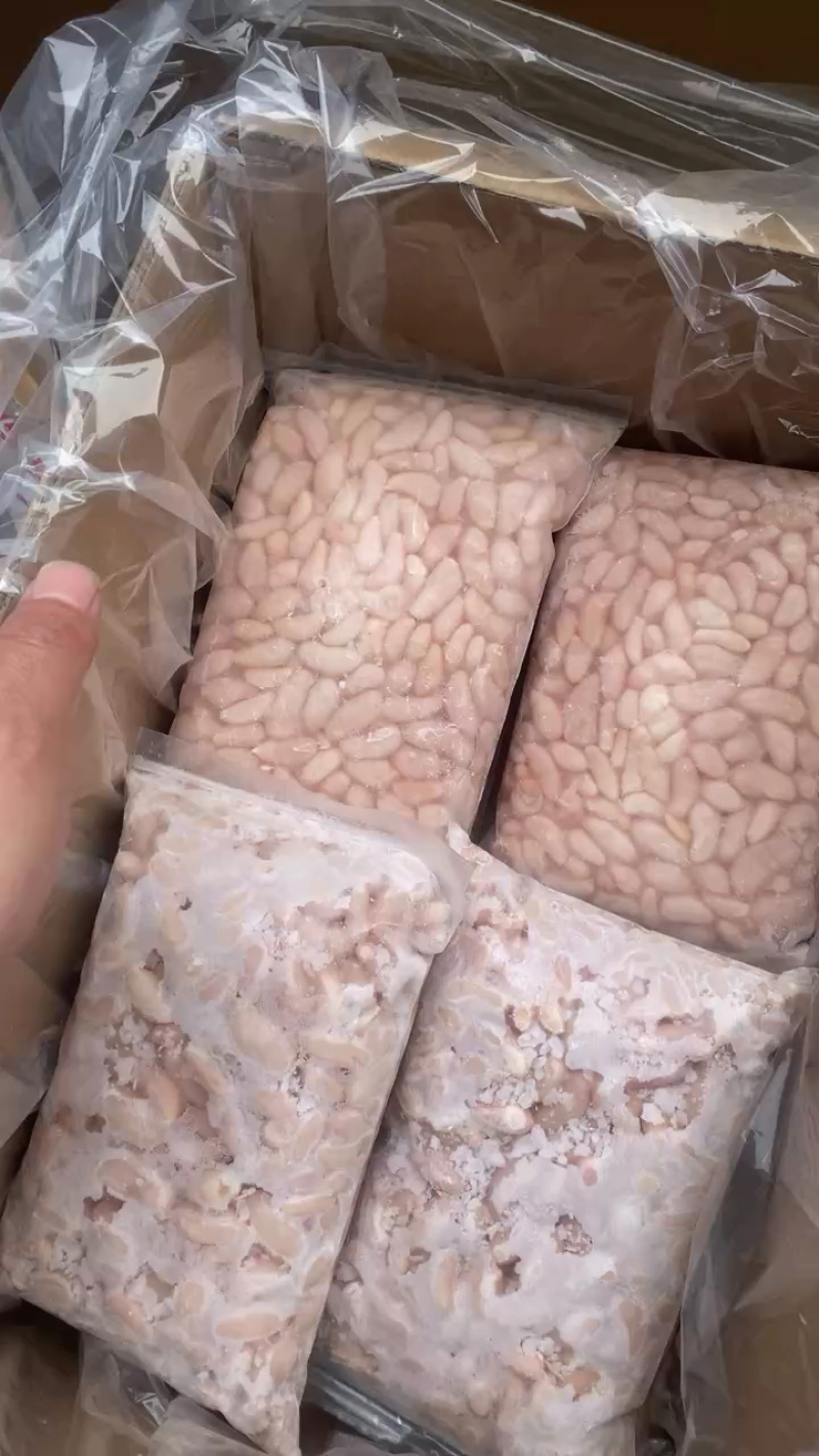 鸡腰子公鸡蛋鲜品冻品公鸡腰规格齐全全国发货