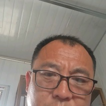 优质甘蓝苗基地直发一手货源抗病虫害对接全国