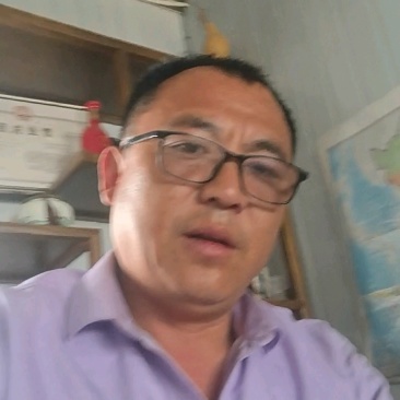 优质生菜苗
