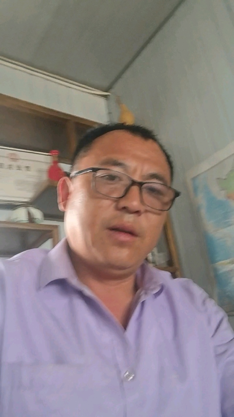 优质生菜苗