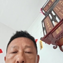 味道清香的金银花品质保证诚信经营价格实惠量大从优