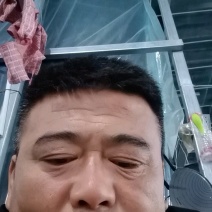 山东聊城产地直发，网纹蜜瓜，双网，正圆型，糖度高