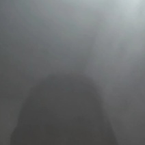鲜活竹笋虫/自家养殖/对接批发代收代卖/对接采购批发