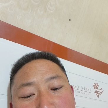 黄心白菜，对接批发商，颜色鲜艳，质量杠杠的，保质保量