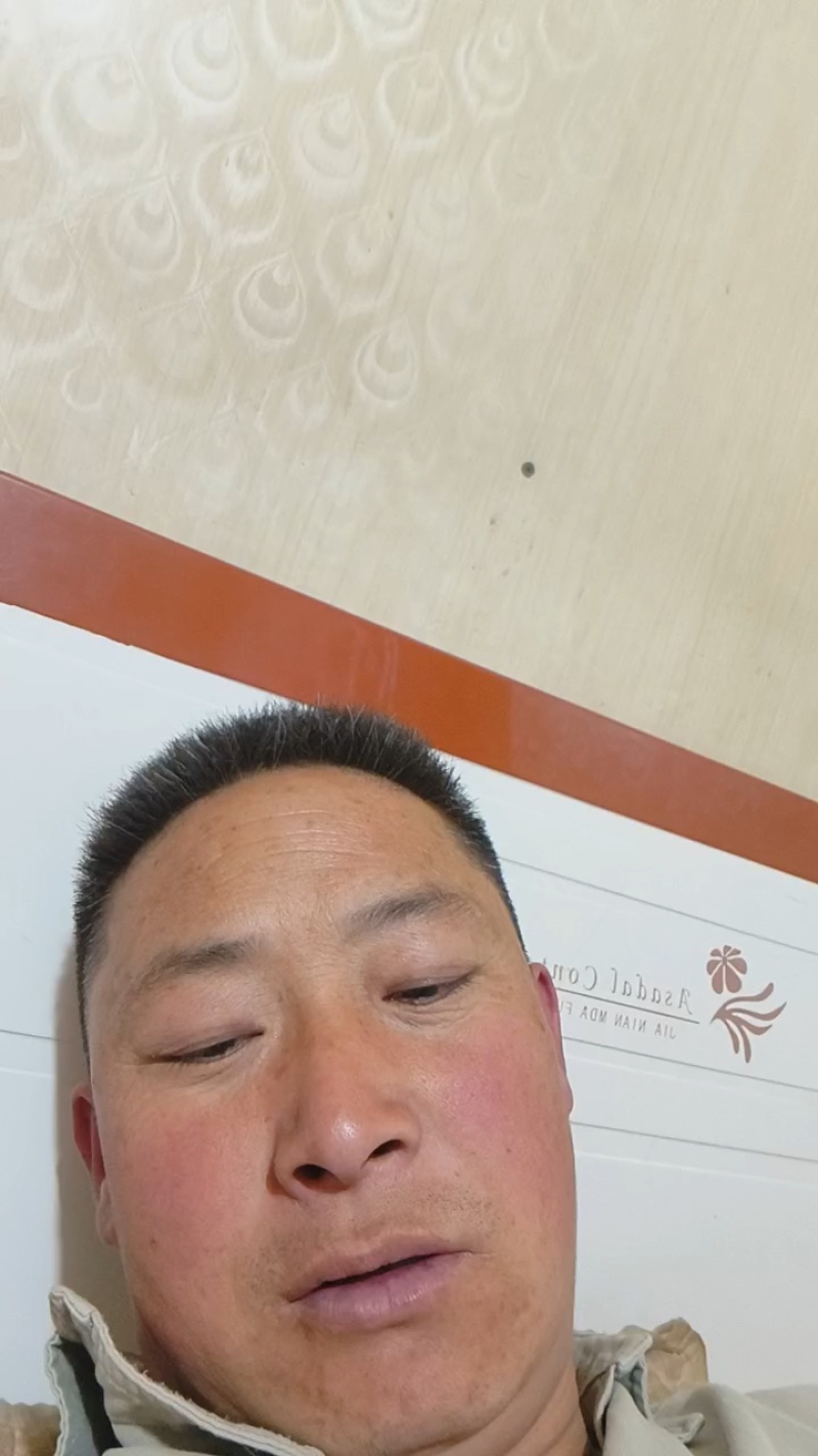 黄心白菜，对接批发商，颜色鲜艳，质量杠杠的，保质保量