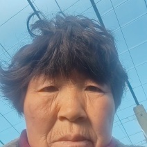 莒县果庄篮梅