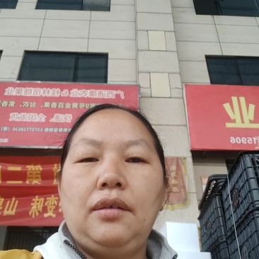 精品推荐一件代发广西桂林精品沃柑诚招电商微商