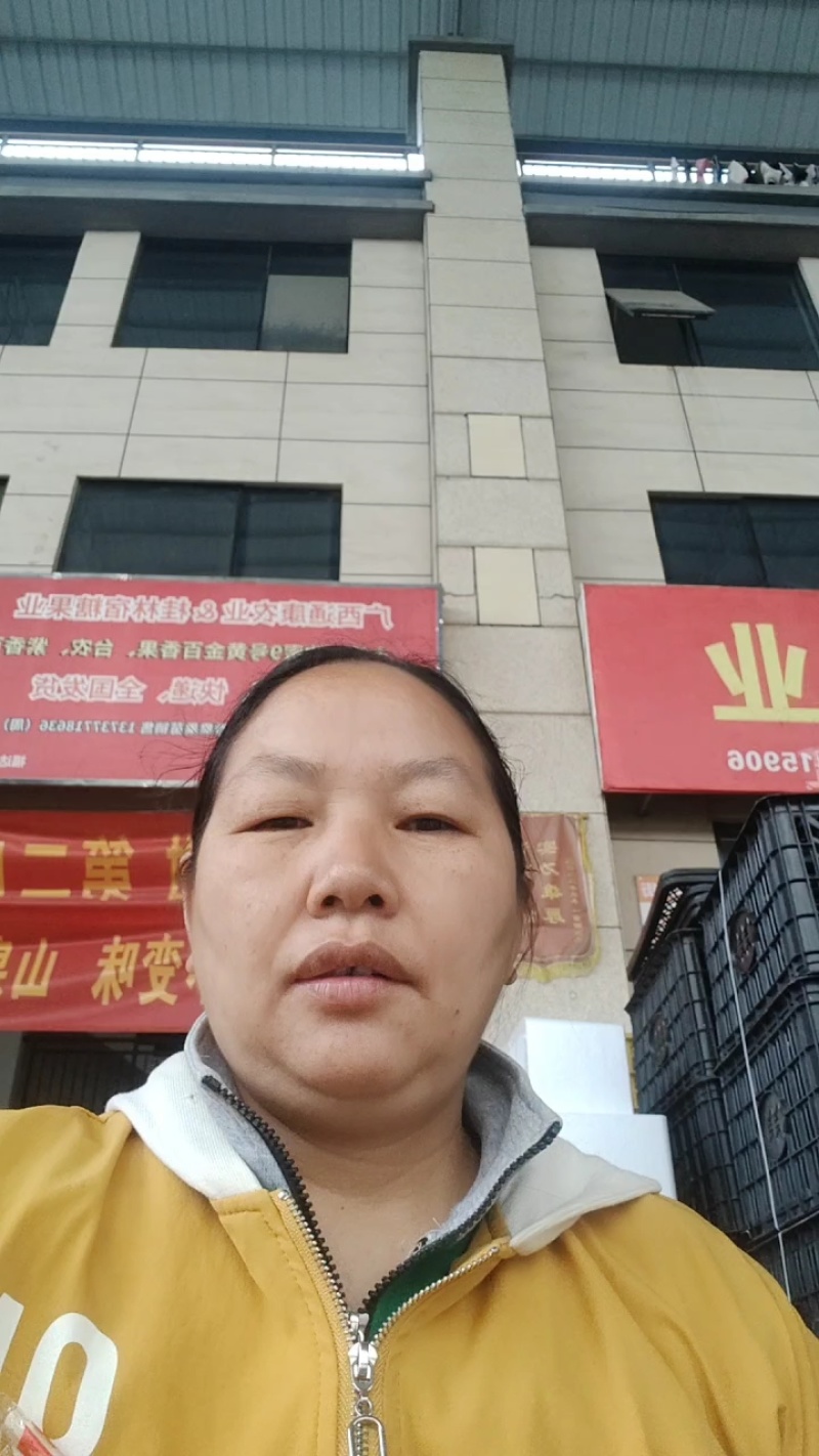 精品推荐一件代发广西桂林精品沃柑诚招电商微商