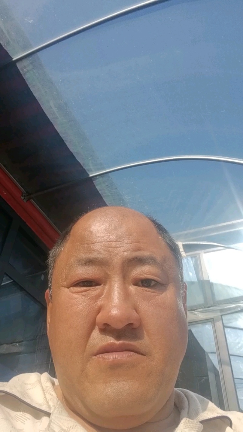 玉米淀粉。玉米颗粒淀粉。小颗粒淀粉。炸鸡裸粉