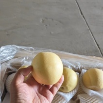 各种梨品类，欢迎老板咨询价格美丽