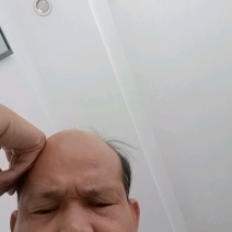 大量供应羽衣甘蓝欢迎各位老板合作采购