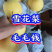 （精选）河北雪花梨产地直销毛毛钱一斤，口感脆甜，货源充足