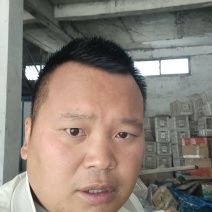 河南密刺黄瓜品质保证诚信经营接商超市场电商欢迎联系