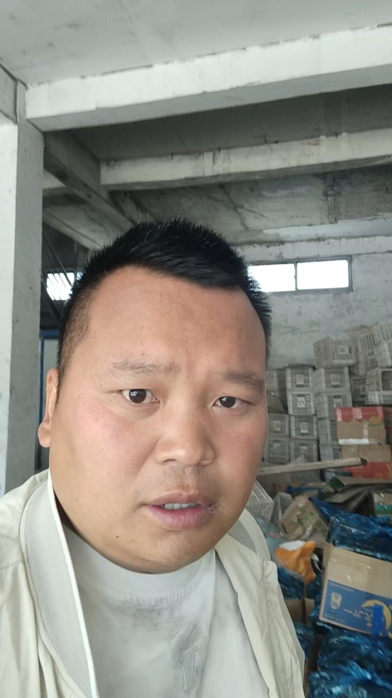河南密刺黄瓜品质保证诚信经营接商超市场电商欢迎联系