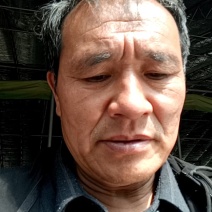 贝贝板栗红金瓜，对接产地种植保质保量诚实守信订单回收