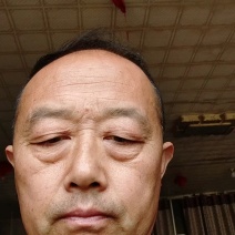 山东精品大棚包头菜，圆甘蓝，价格好，硬度好耐运输质量保证