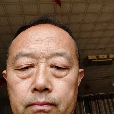 山东精品大棚包头菜，圆甘蓝，价格好，硬度好耐运输质量保证