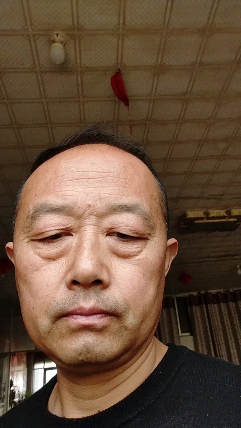 山东精品大棚包头菜，圆甘蓝，价格好，硬度好耐运输质量保证