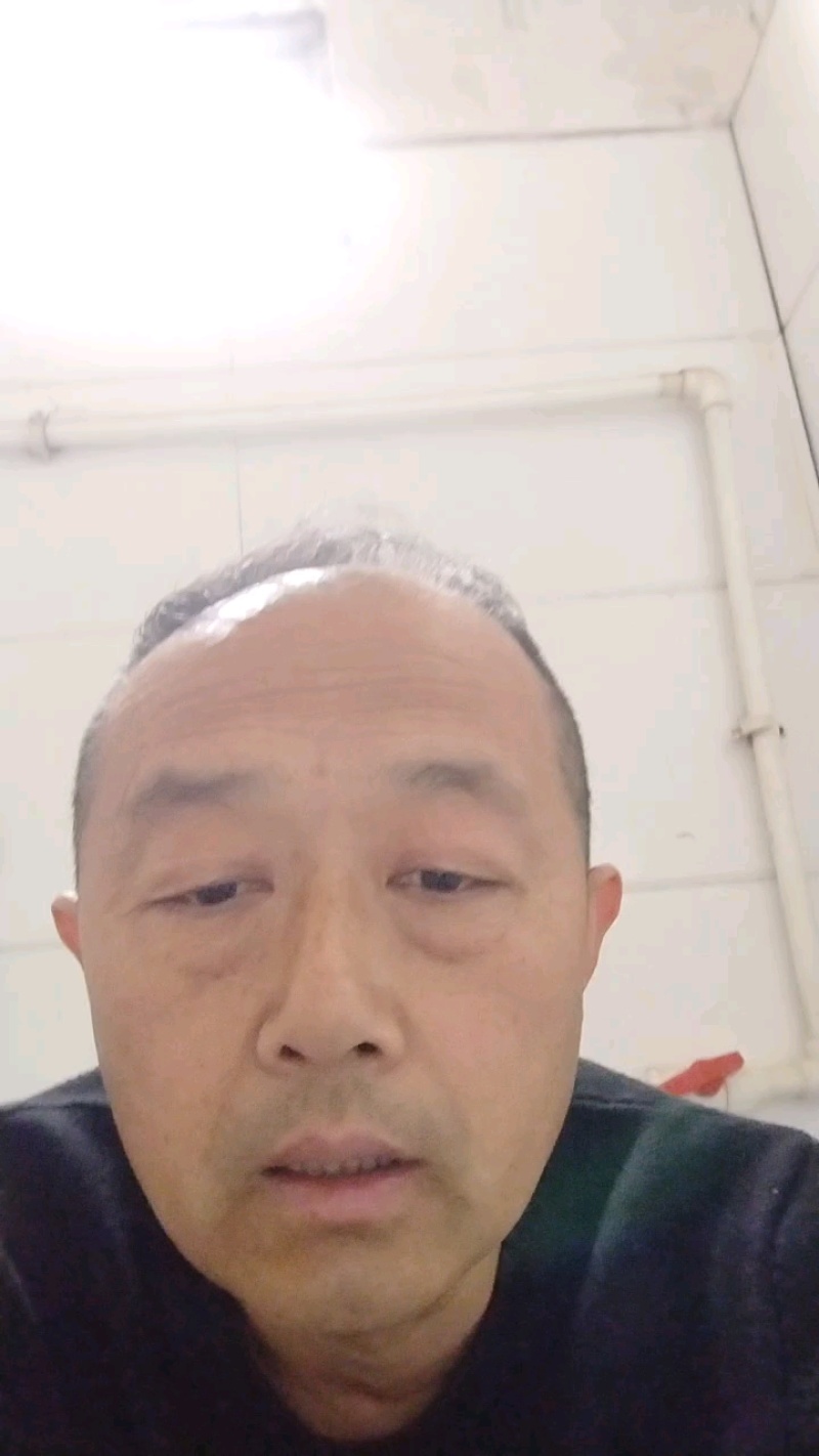 精品山东临沂硬粉西红柿，基地现货保质保量，市场商超供应