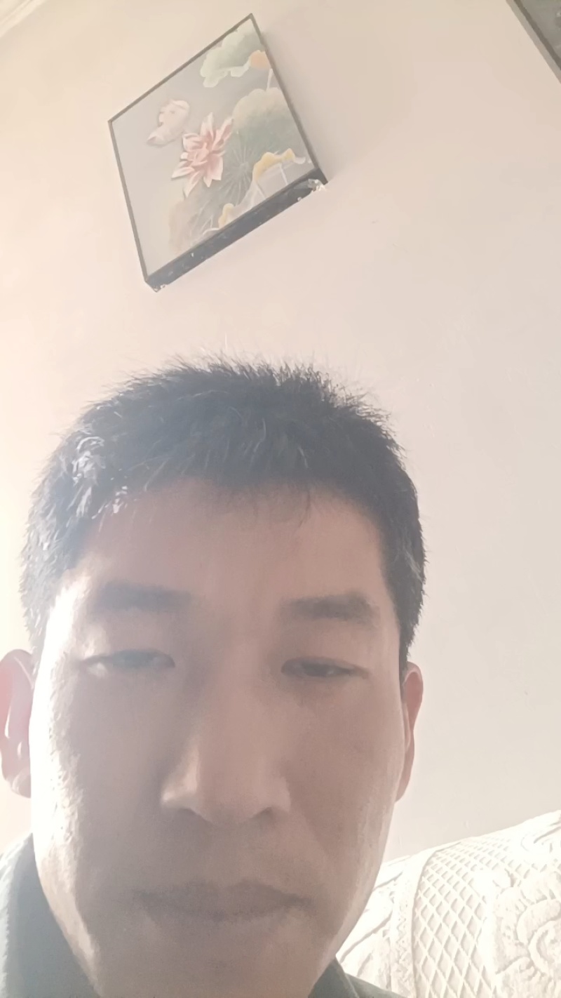 散养鹅蛋