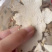 土茯苓干片地摊电商批发无硫磺土茯苓片白土茯苓干片干