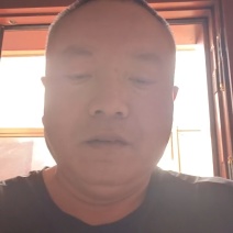 大型牛粪晾晒场，大量装车中。