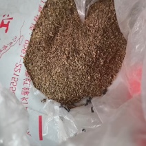 厂家直销酒糟，大厂家好质量