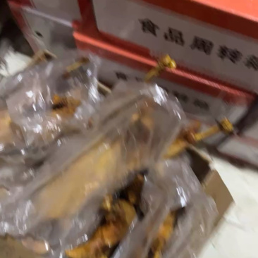 【卤鹅】全熟食可对接商超市场餐饮店品质优可视欢迎咨询来电