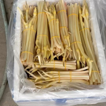 湖北藕带仙桃藕带、洪湖藕尖、笔粘、笔尖藕带、藕尖、藕肠子