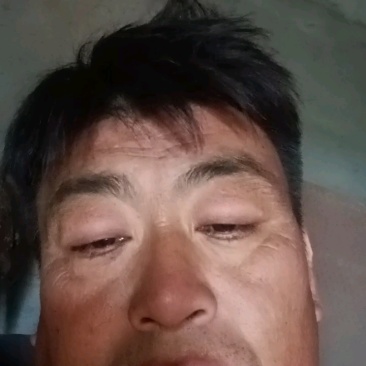 韭菜根精品