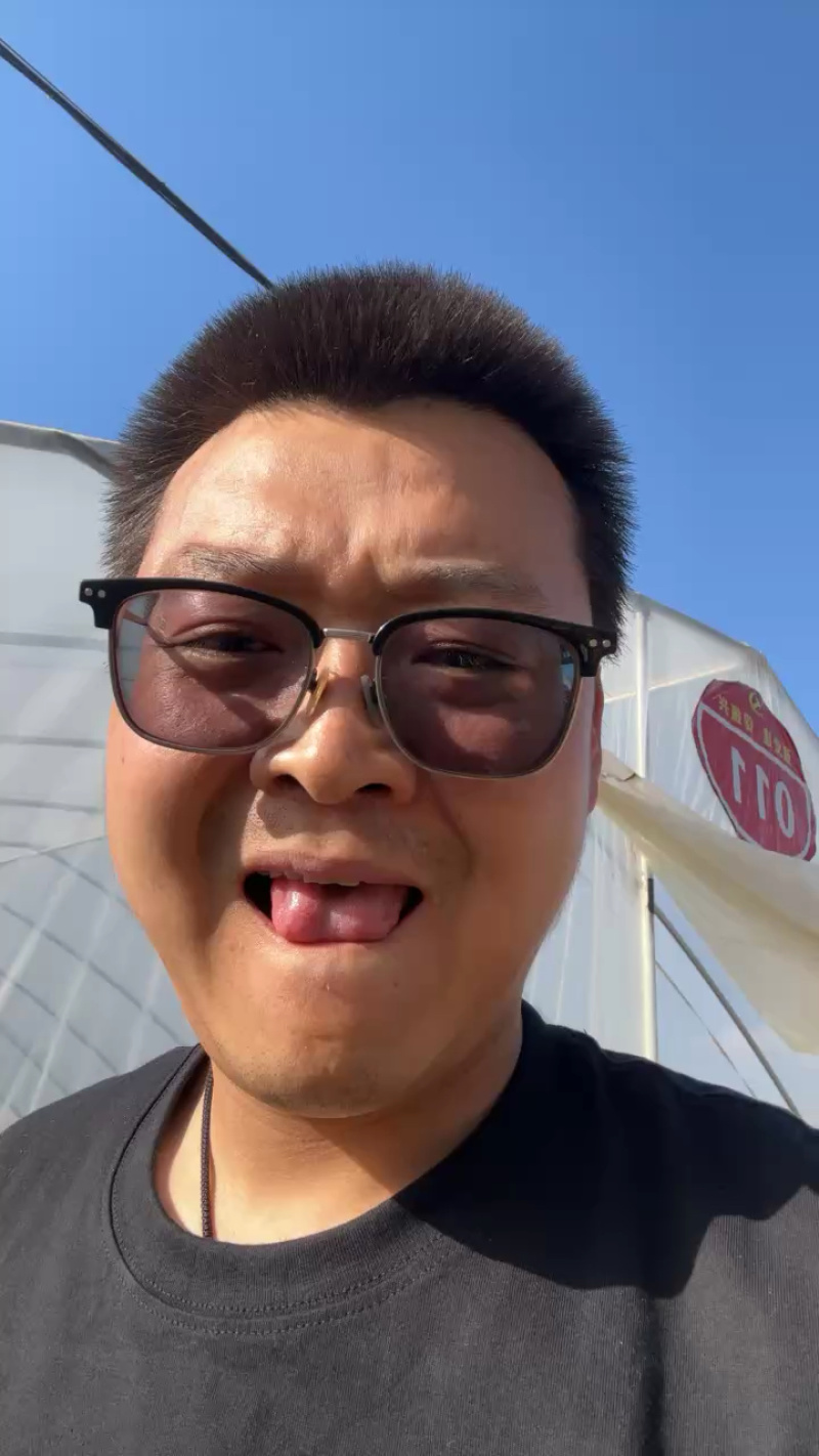 秦安县白脆瓜