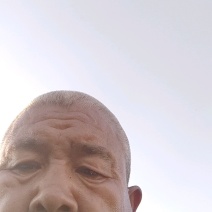 野生苍耳子干货产地直供全国发货欢迎采购量大从优支持视频