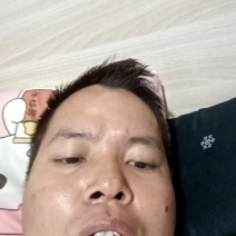 六马正宗蜂糖李一代嫁接苗四月李六月李营养杯苗