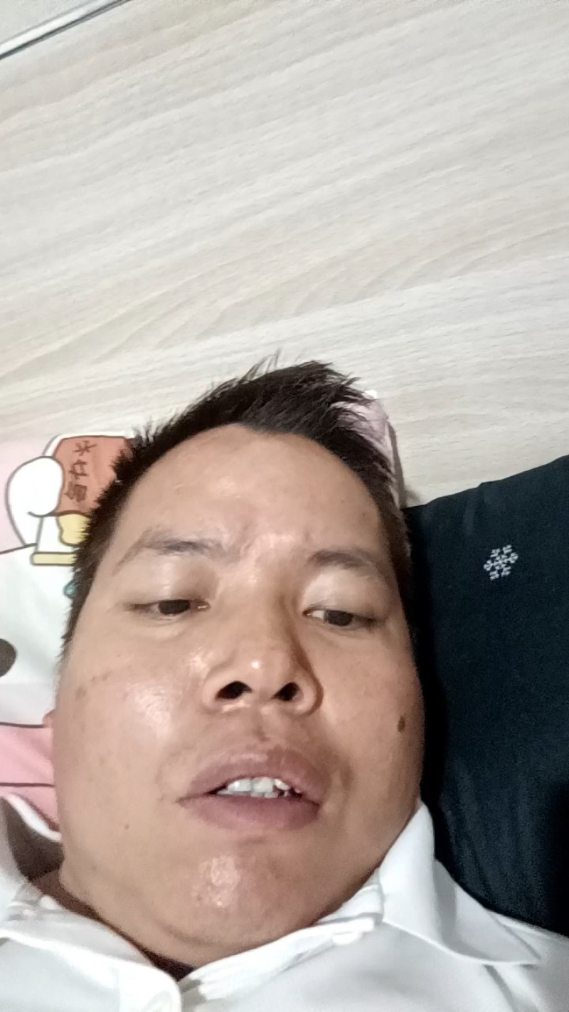 六马正宗蜂糖李一代嫁接苗四月李六月李营养杯苗