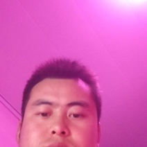 黄芪片