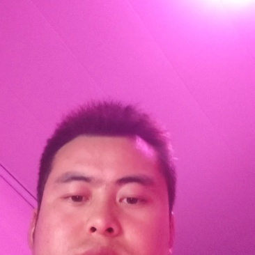 黄芪片