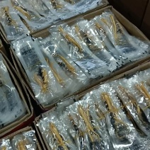 长白山鲜人参，一手货源，产地发货，保证质量