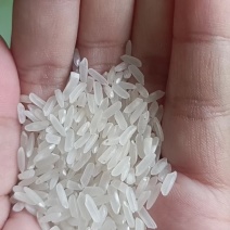 精品长粒香大米，口感好吃，包装精美，量大从优，免费寄样