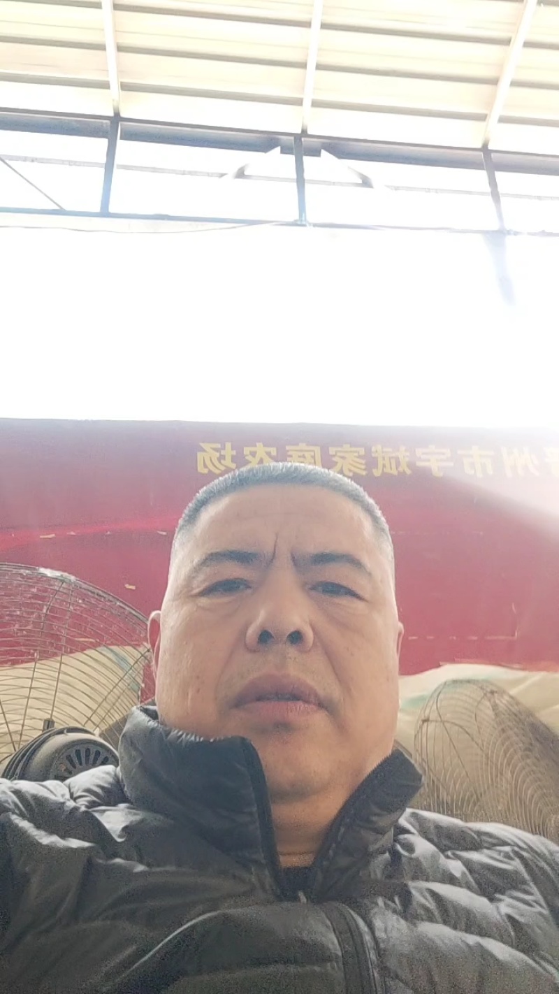 皇冠梨，大量上市，鲜甜可口，欢迎采购商致电