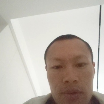 石棉黄果柑